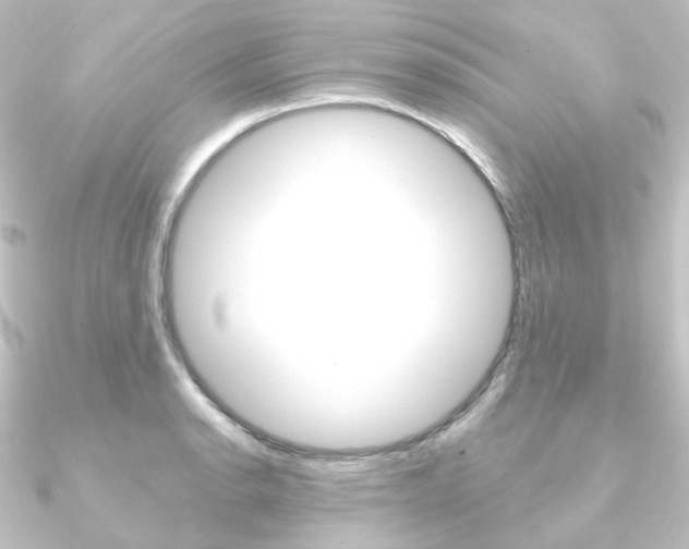 X0000090951134200708021056