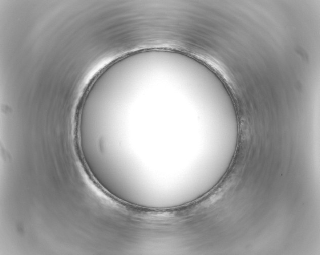 X0000090951135200708021056