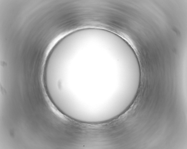 X0000090951136200708021056