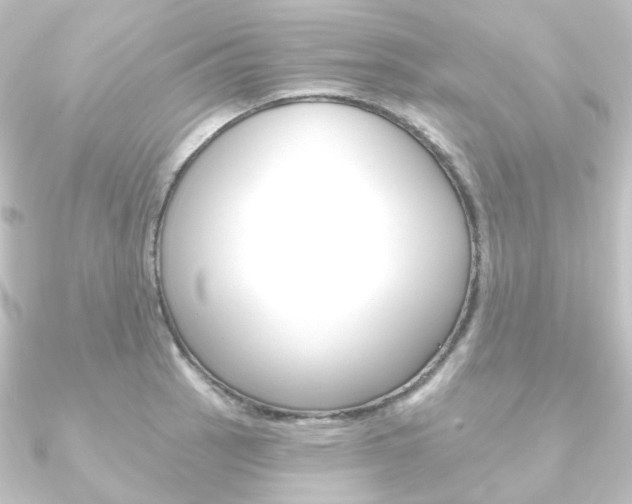 X0000090951137200708021056