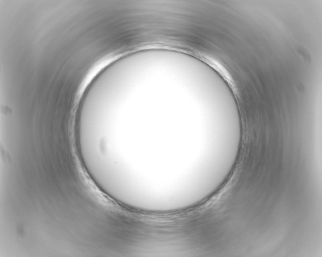 X0000090951138200708021056