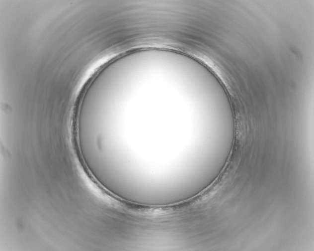 X0000090951139200708021056