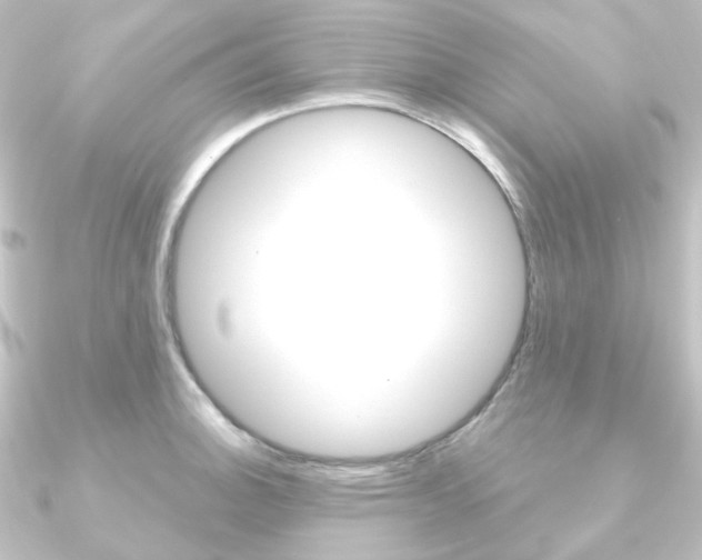 X0000090951140200708021056