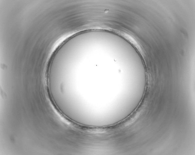 X0000090951141200708021056