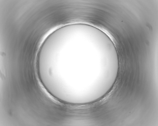 X0000090951142200708021056