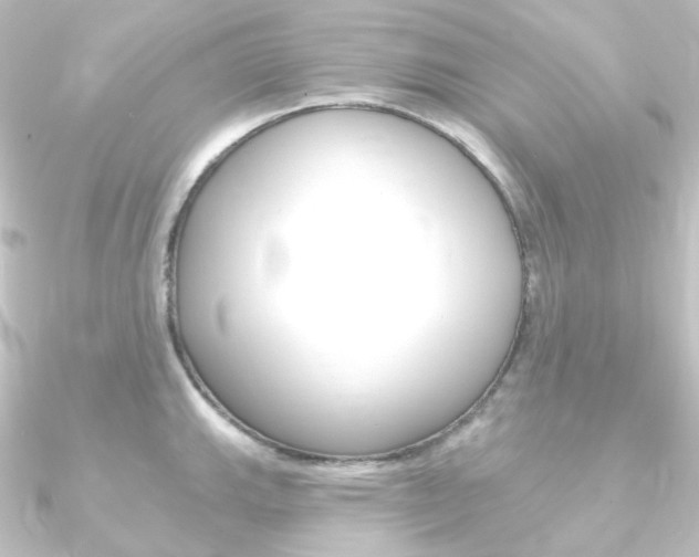 X0000090951143200708021056