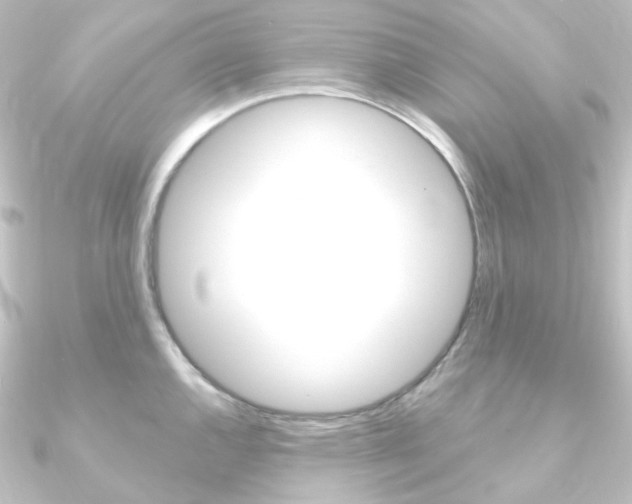 X0000090951144200708021056