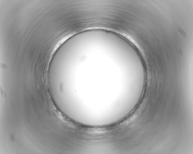 X0000090951145200708021056