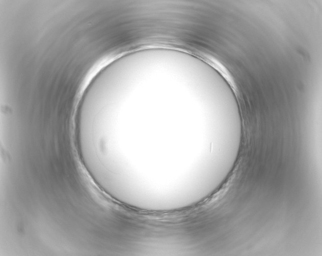 X0000090951146200708021056
