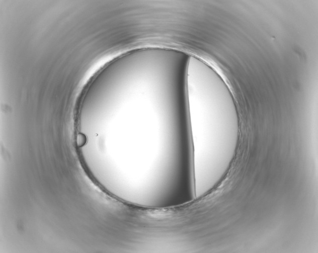 X0000090951147200708021056