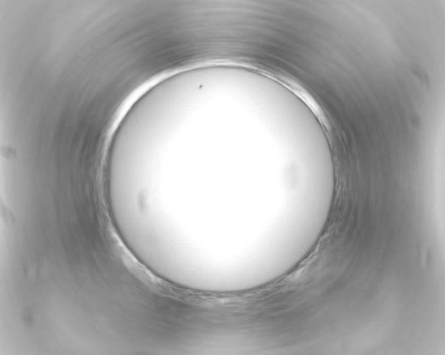 X0000090951148200708021056