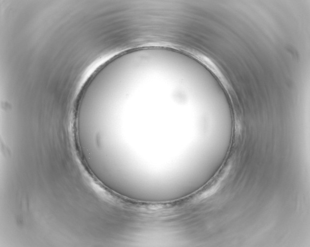 X0000090951149200708021056