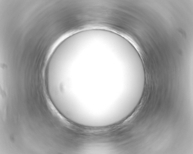 X0000090951150200708021056
