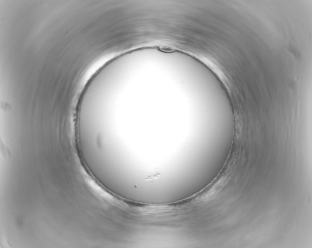 X0000090951151200708021056