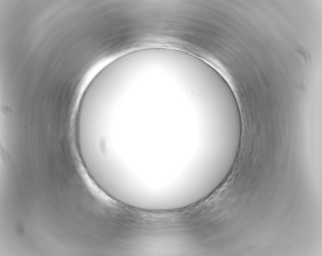 X0000090951152200708021056
