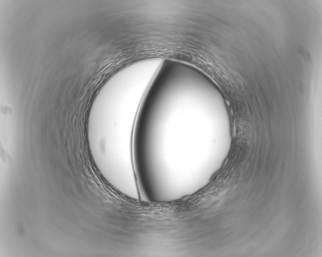 X0000090951153200708021055