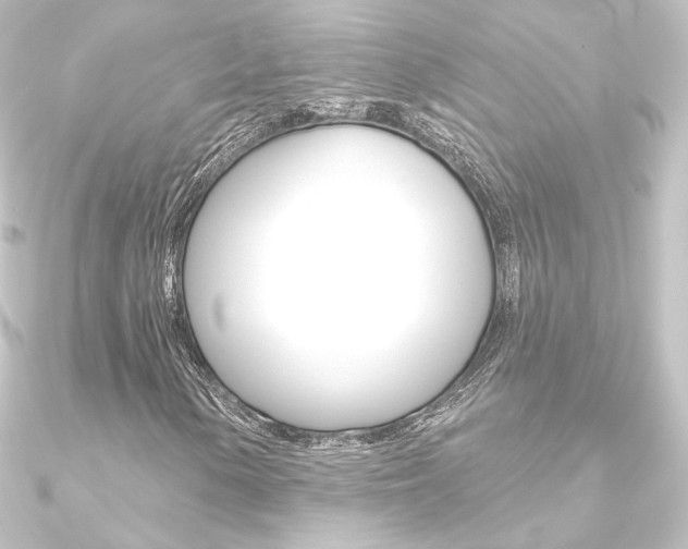 X0000090951154200708021055