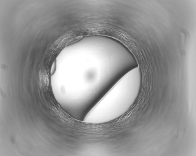 X0000090951155200708021055