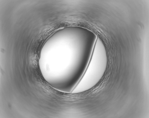 X0000090951156200708021055