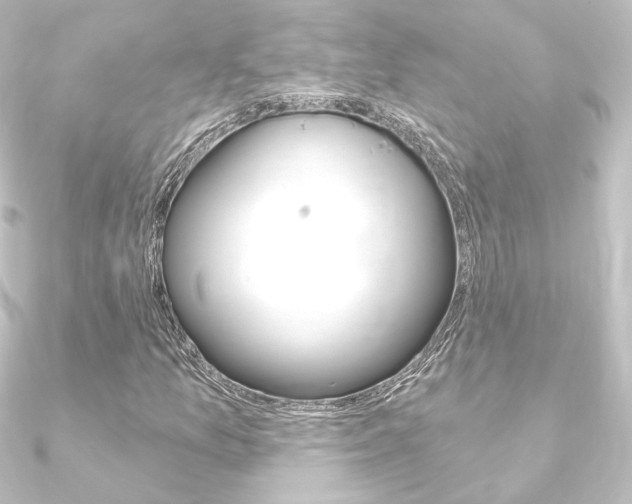 X0000090951157200708021055