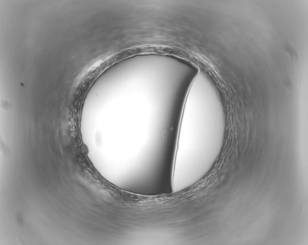 X0000090951159200708021055