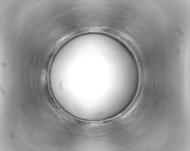 X0000090951161200708021055