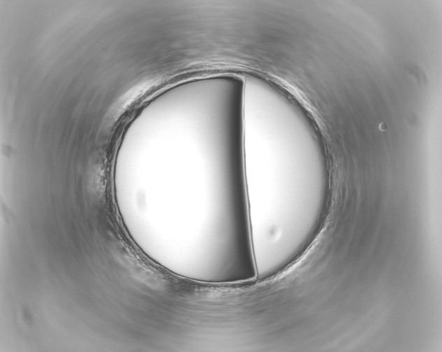 X0000090951163200708021055