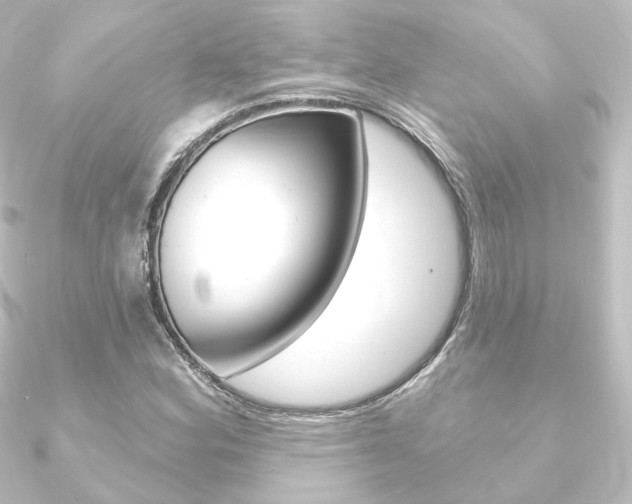 X0000090951164200708021055
