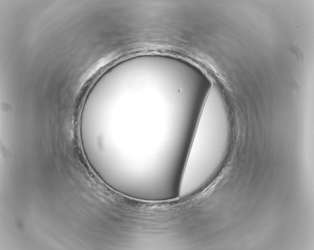 X0000090951165200708021055
