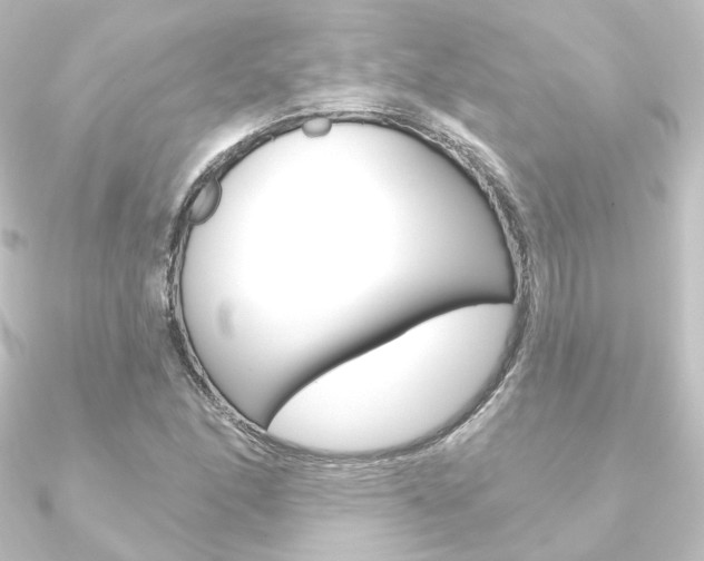 X0000090951166200708021055