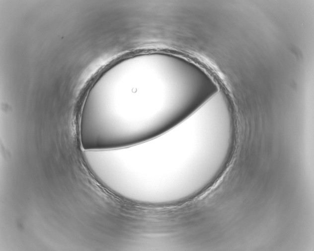 X0000090951167200708021055