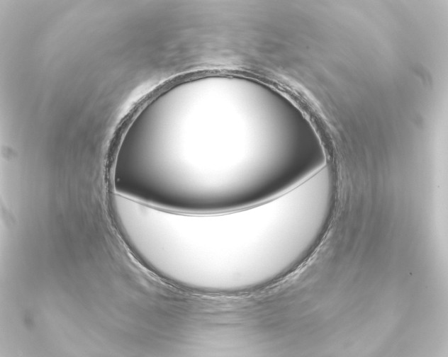 X0000090951168200708021055