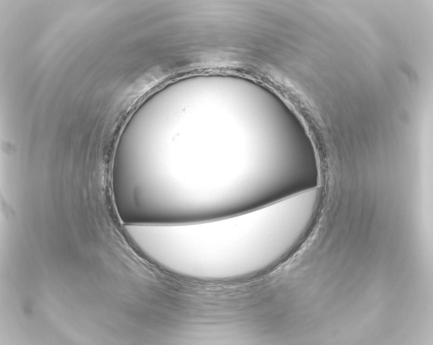 X0000090951169200708021055