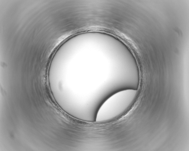 X0000090951170200708021055