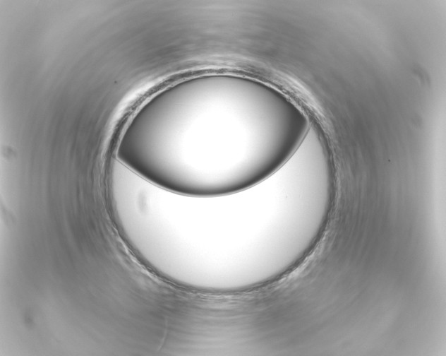 X0000090951172200708021055