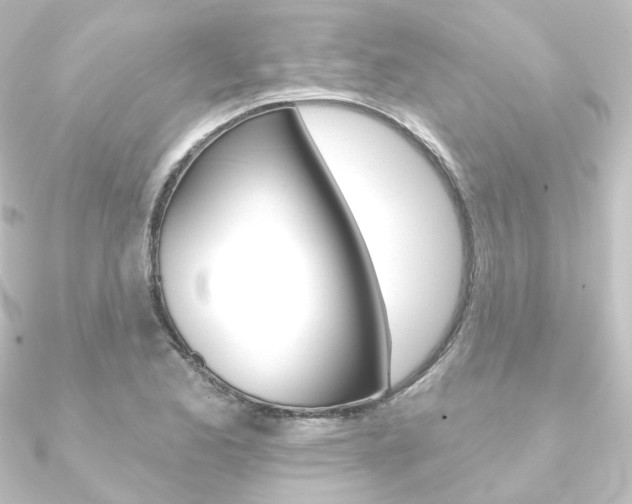 X0000090951173200708021055