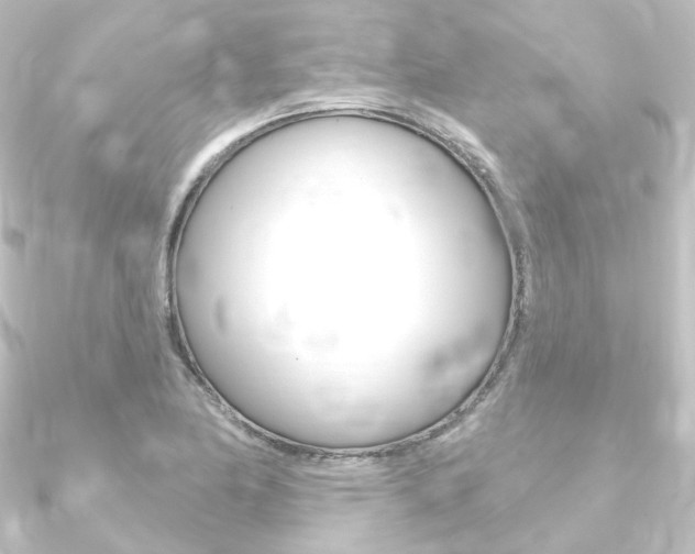 X0000090951174200708021055