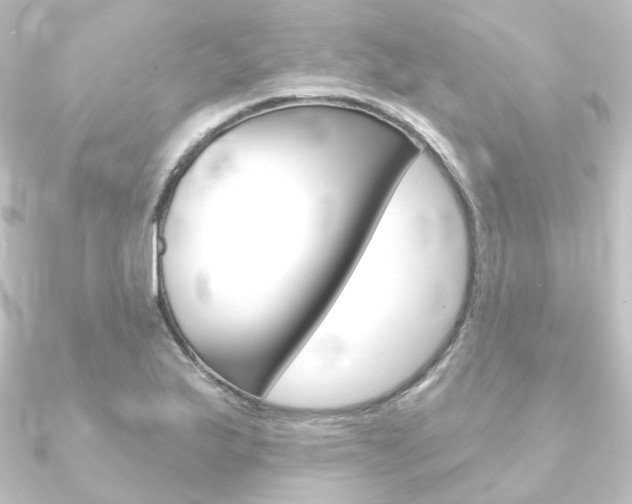 X0000090951175200708021055