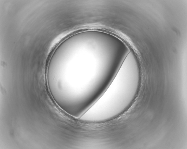 X0000090951176200708021055
