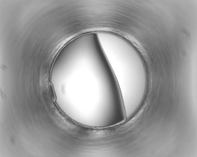 X0000090951177200708021055