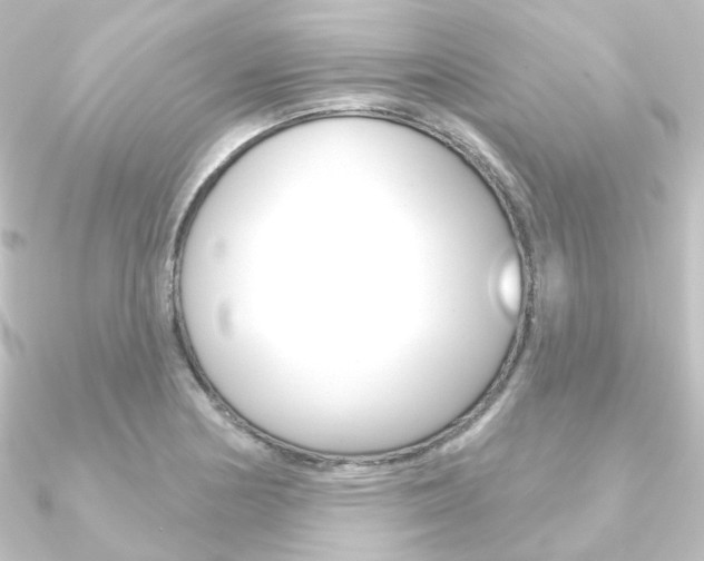 X0000090951178200708021055