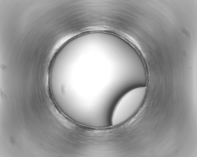 X0000090951179200708021055