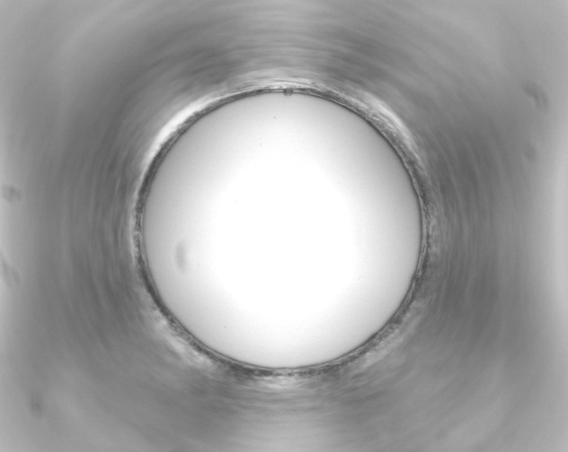 X0000090951182200708021055