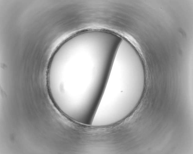 X0000090951183200708021055