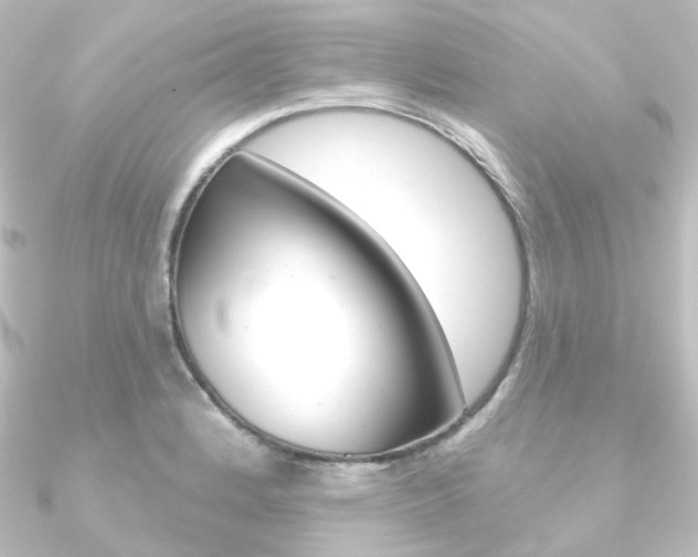 X0000090951184200708021055