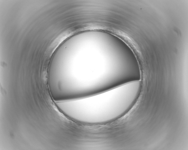 X0000090951185200708021055