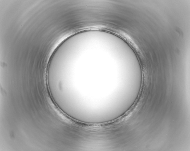 X0000090951186200708021055