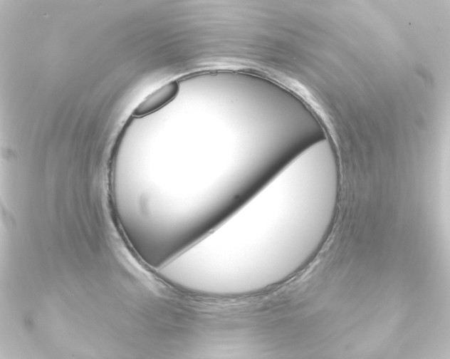 X0000090951187200708021055