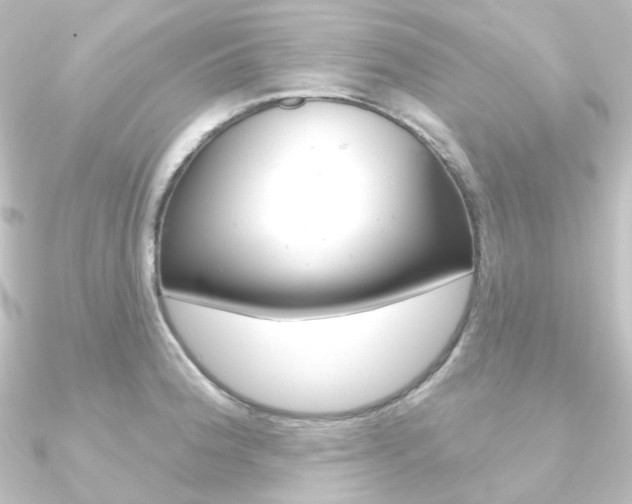 X0000090951188200708021055
