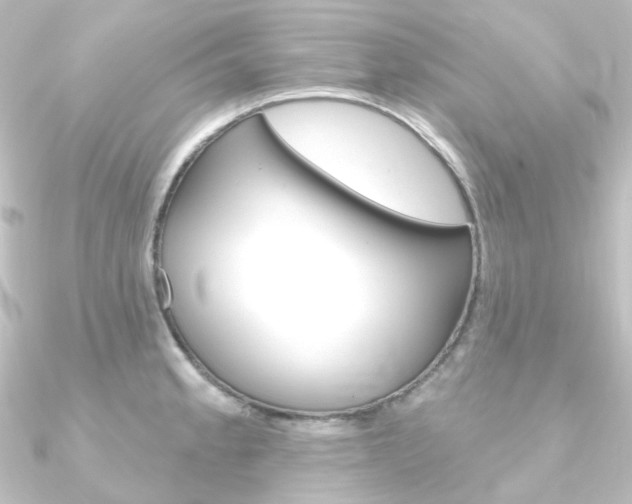X0000090951189200708021055